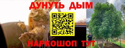 PSILOCYBIN Бердск