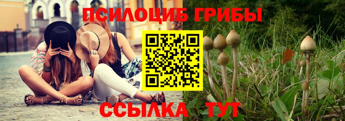 Галлюциногенные грибы Cubensis Великие Луки